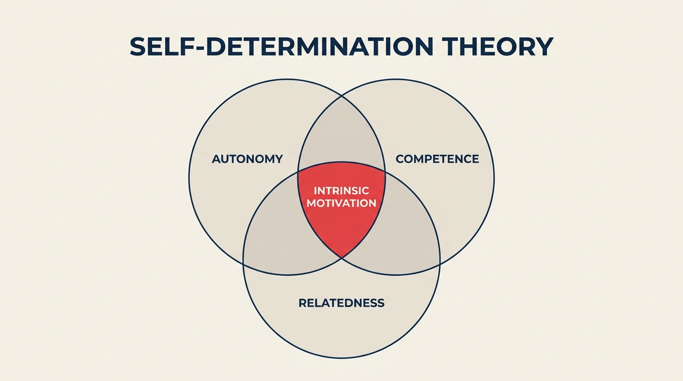 Venn-Diagramm der drei Bedürfnisse der Self-Determination Theory: Autonomie, Kompetenz, Zugehörigkeit