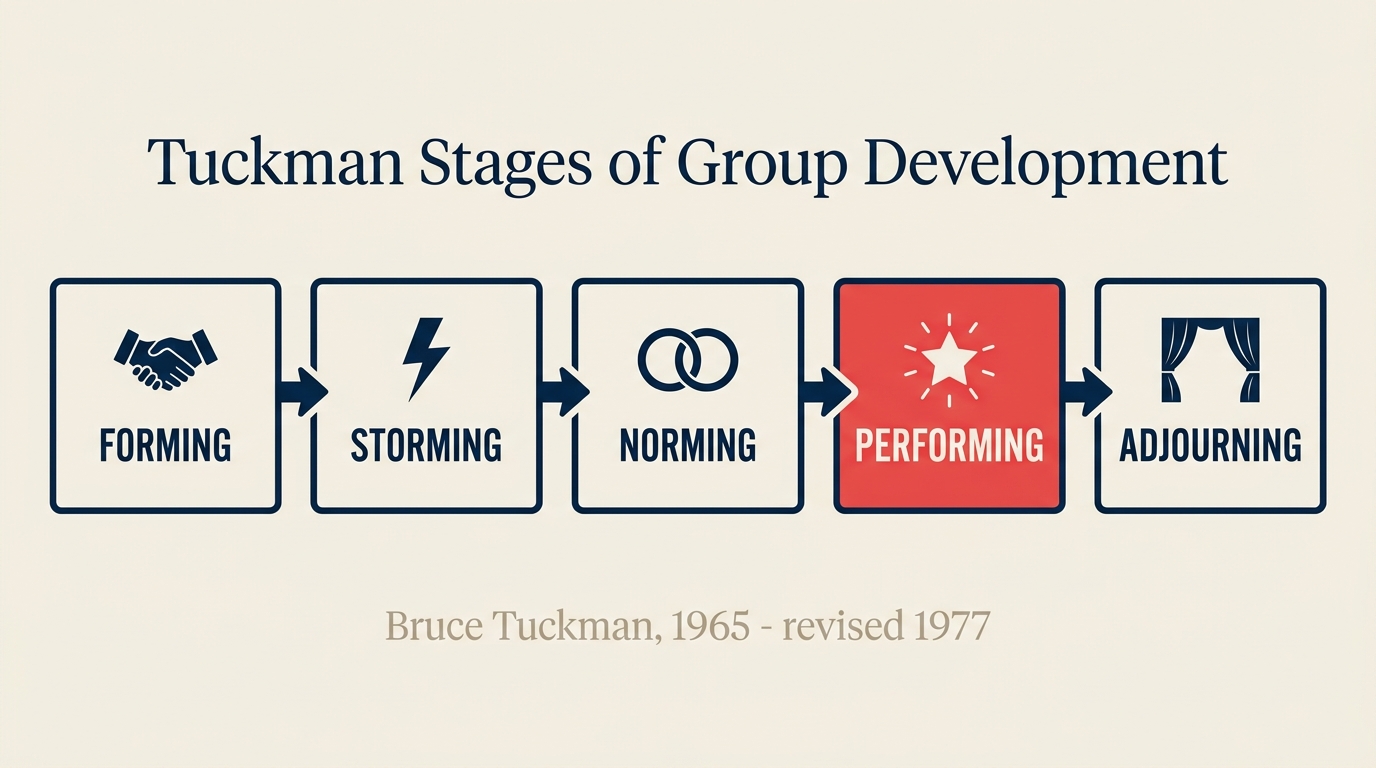 Cinco estágios de desenvolvimento de grupo de Tuckman mostrando forming, storming, norming, performing e adjourning