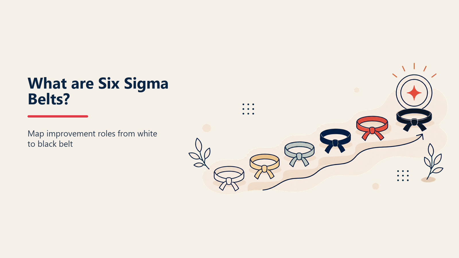 Six Sigma belt levels shown as five ascending capability tiers