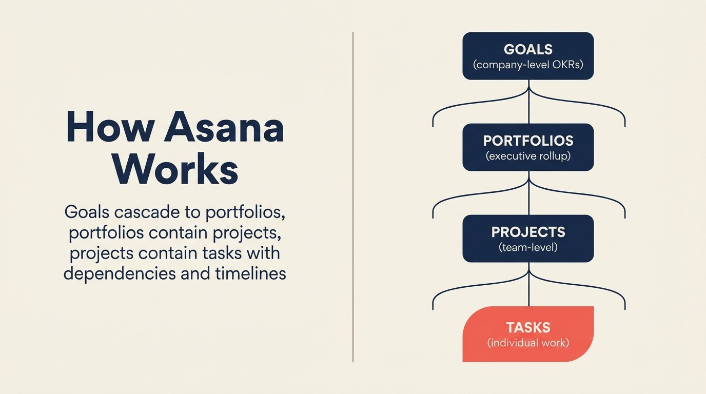 How Asana Works